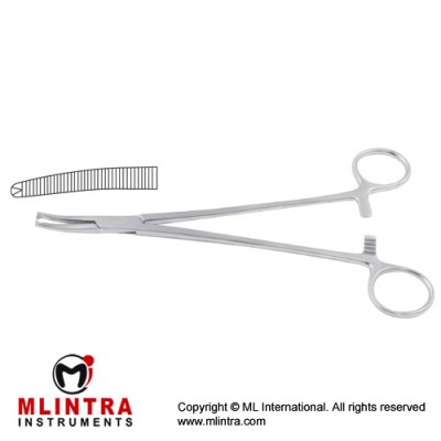 Faure Peritoneum Forcep Curved - 1 x 2 Teeth Stainless Steel, 21 cm - 8 1/4" 